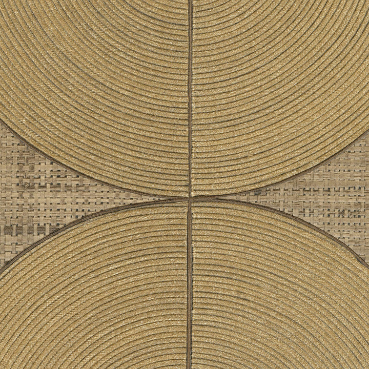 Courbes - Tisser des liens