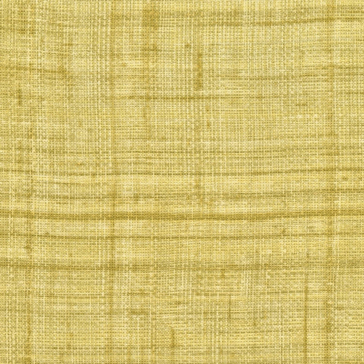 Abaca - Une Fibre Lumineuse - VP 983 60