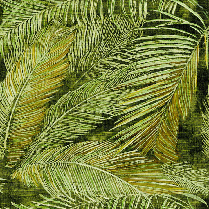 Manihi - Panoramique - VP 991 01