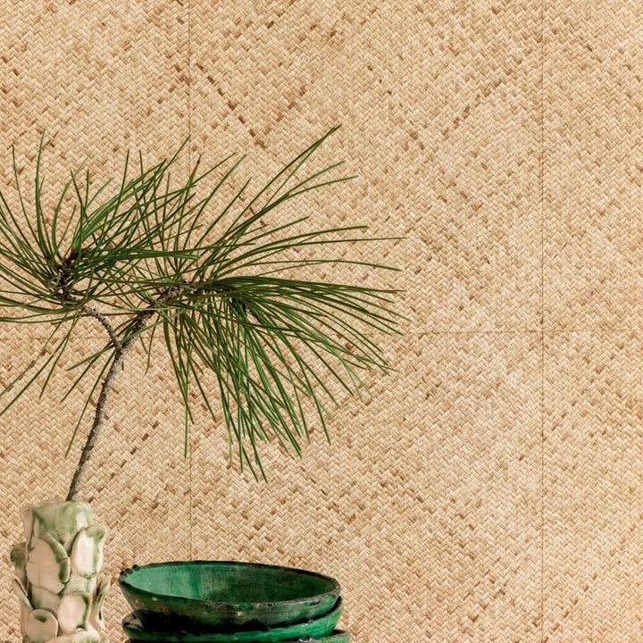 Rotin - Une Joyeuse Tribu - VP 984 02