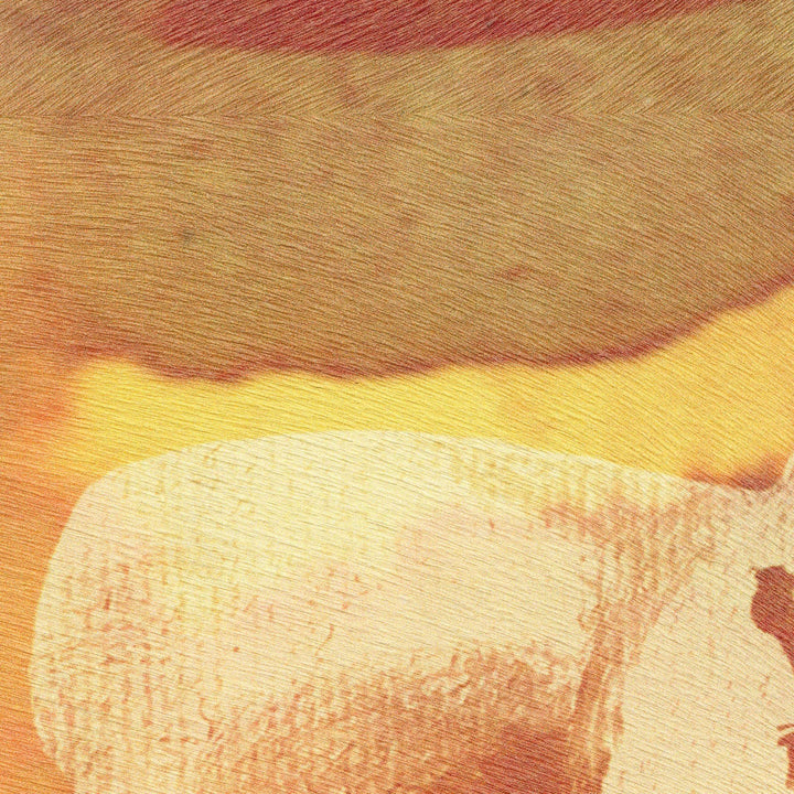 L'Appel De La Foret Panoramique - VP 972 01