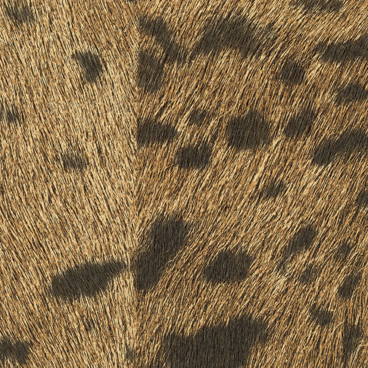 Panthere - Un Trophee Merite - VP 653 07