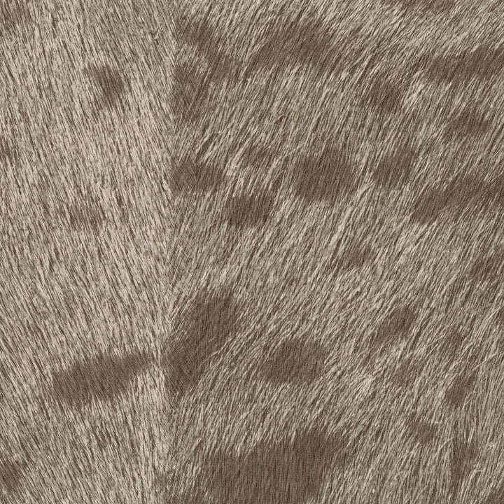 Panthere - A Pas De Velours - VP 653 11