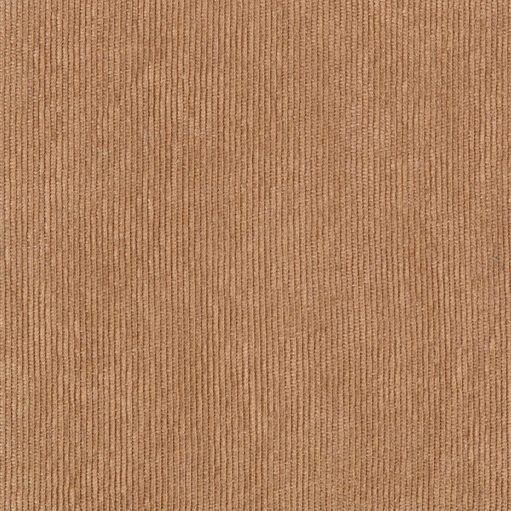 Alcove II - Garconniere - Entre Sable Et Pinede - RM 1063 72