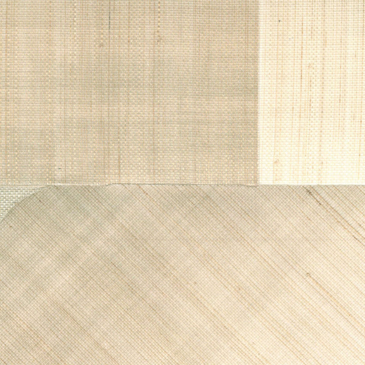 Maestria Circe - Une Harmonieuse Cohabitation