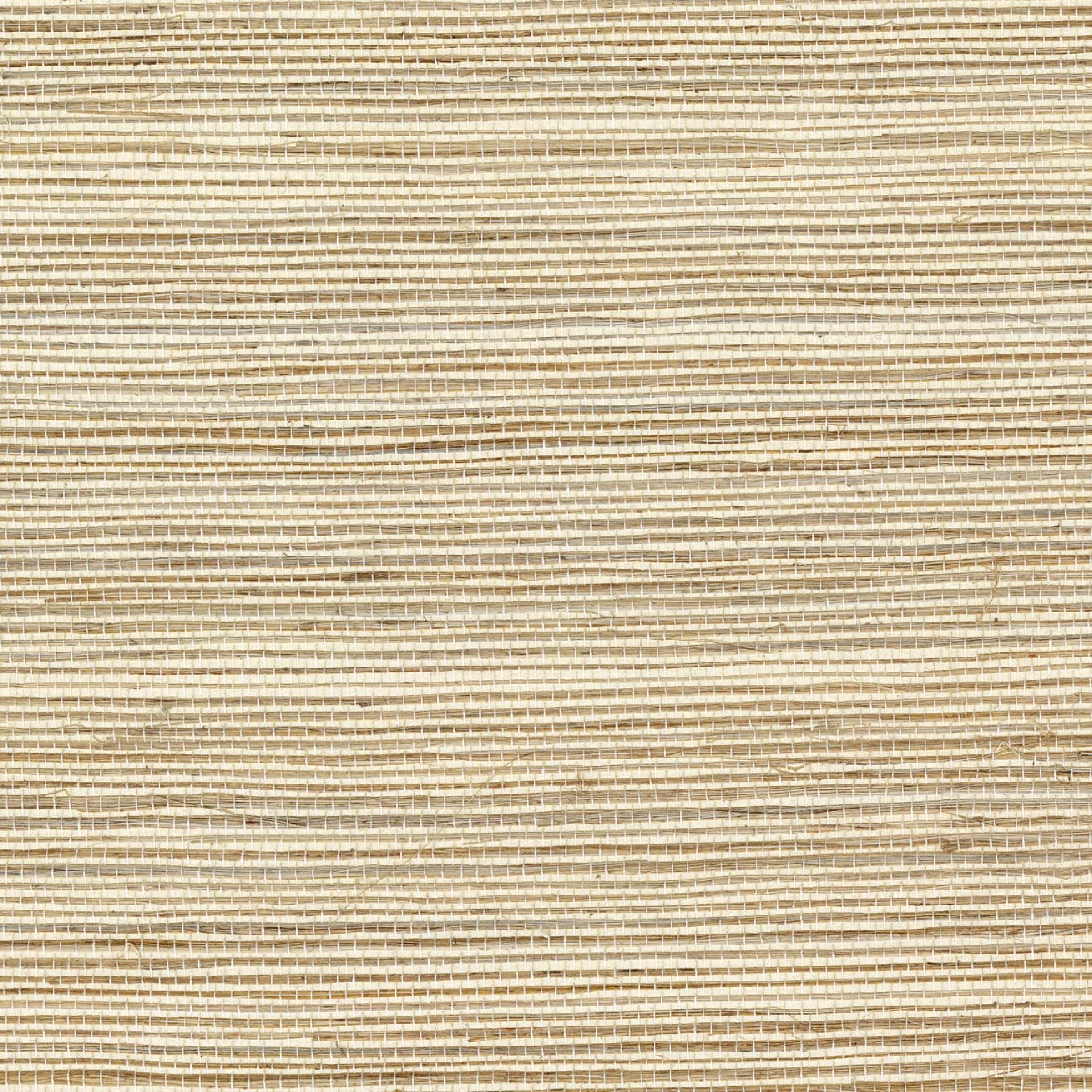 Maestria Favoris - Un Chuchotement Urbain