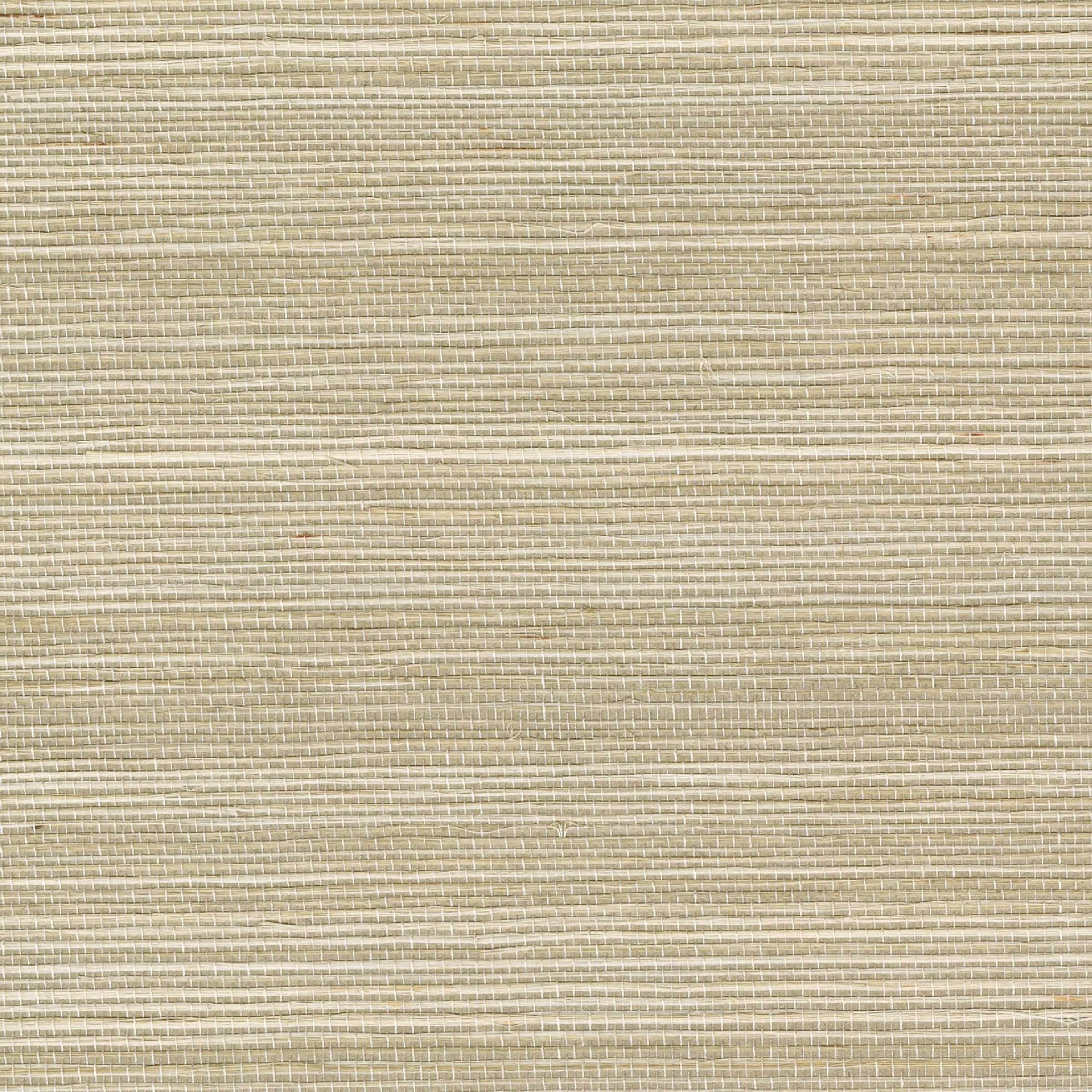 Maestria Tribus Favoris - Revenu En Grace