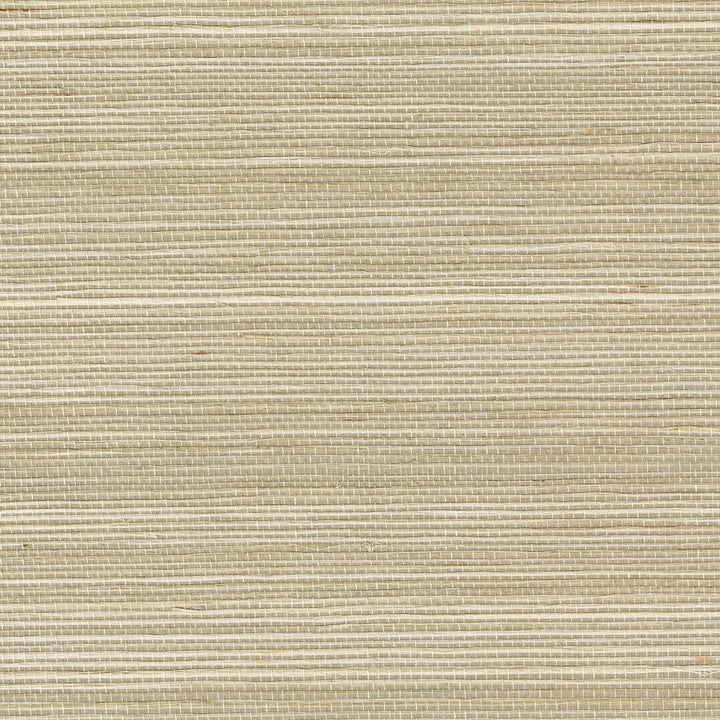 Maestria Tribus Favoris - Revenu En Grace