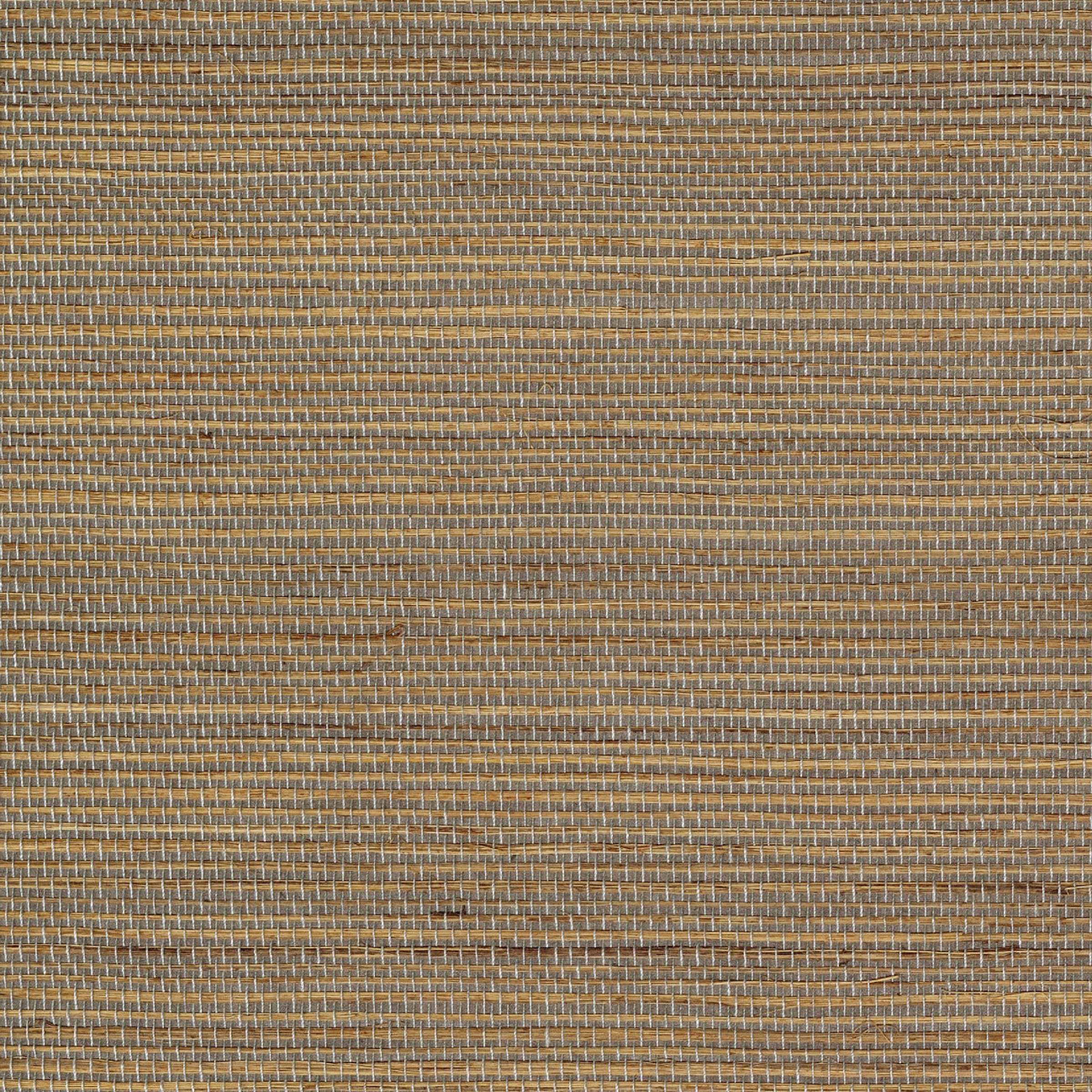 Maestria Favoris - Briser Les Frontieres