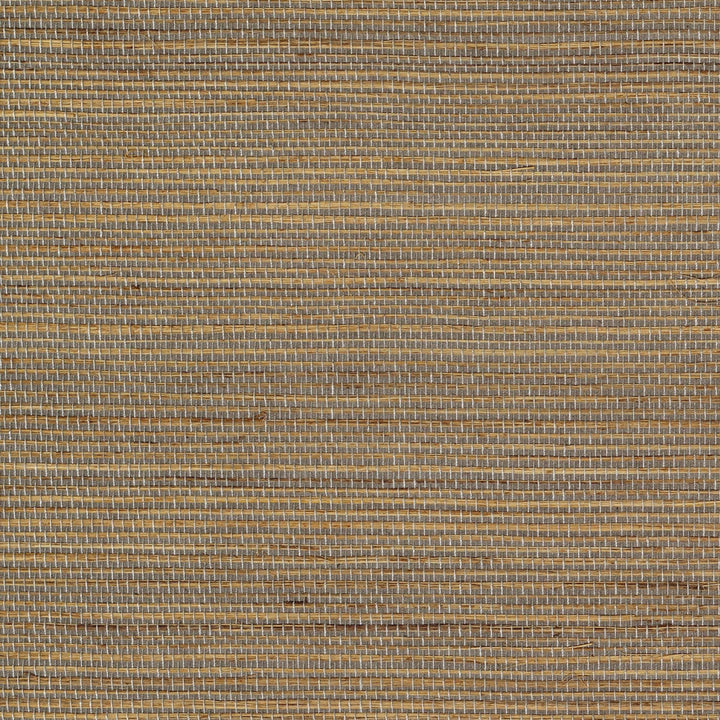 Maestria Favoris - Briser Les Frontieres