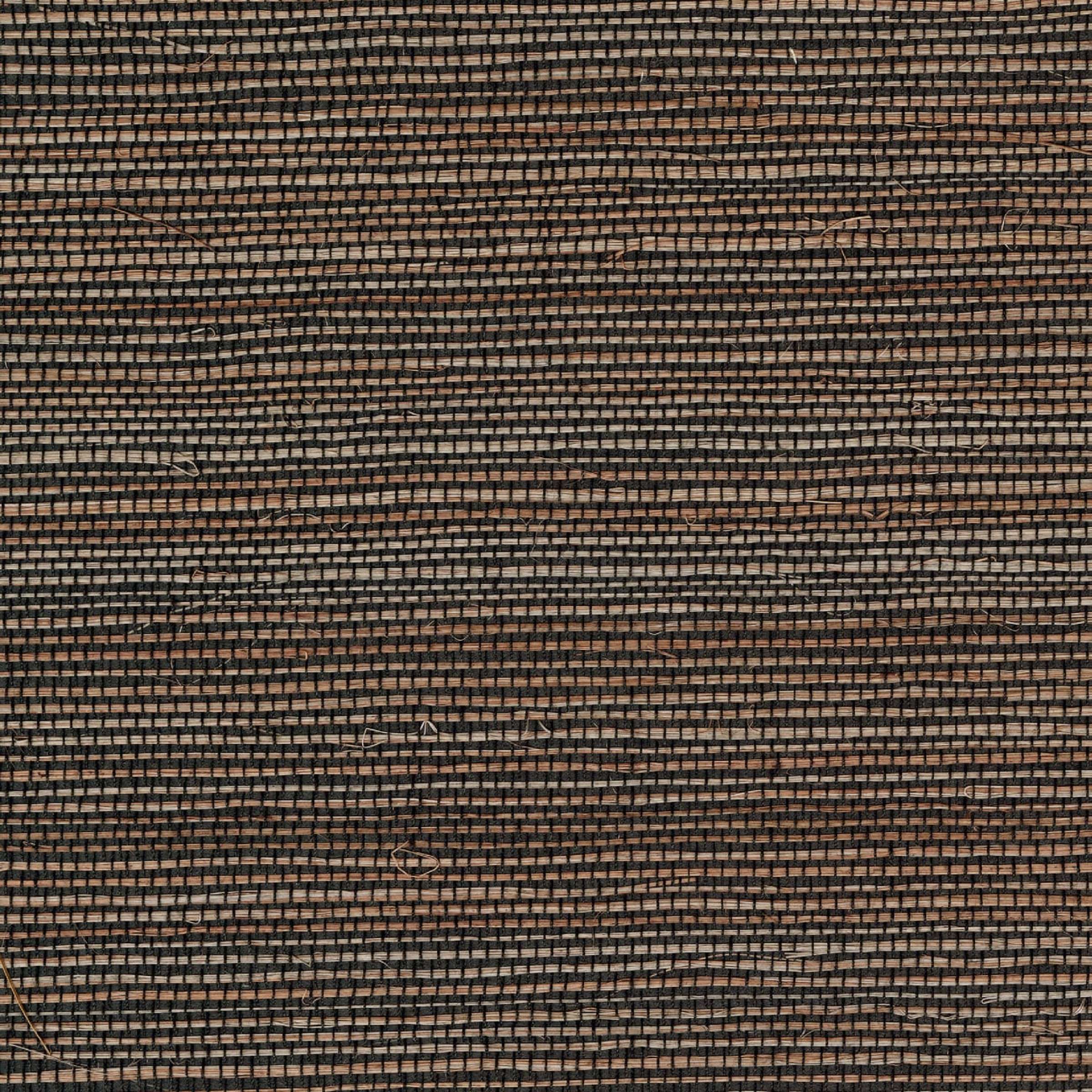 Maestria Favoris - Lui Offrir Une Seconde Chance