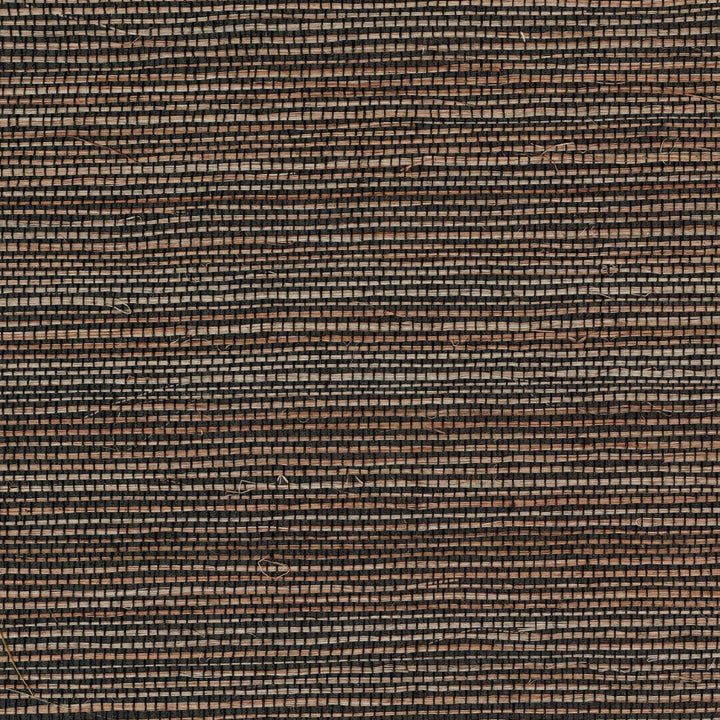 Maestria Favoris - Lui Offrir Une Seconde Chance