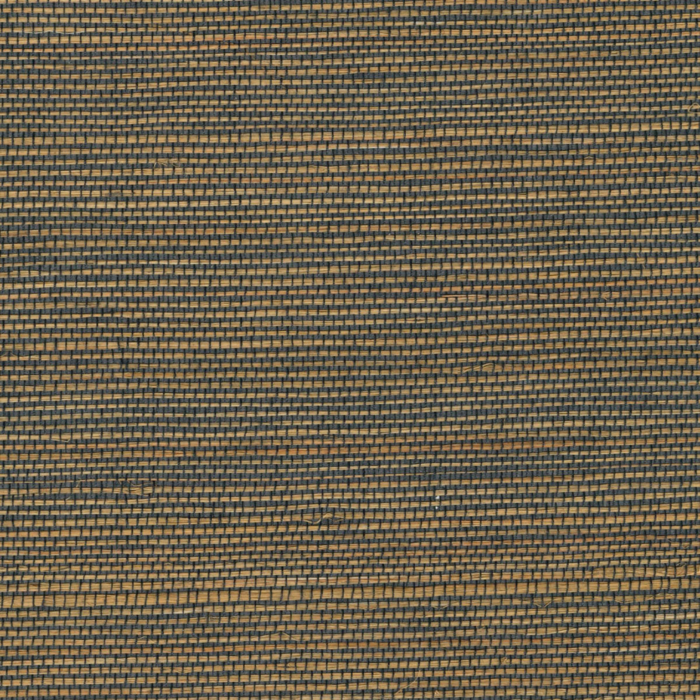 Maestria Favoris - Une Seduction Retrouvee