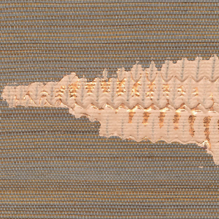 Maestria Orion - Un Precieux Enrichissement