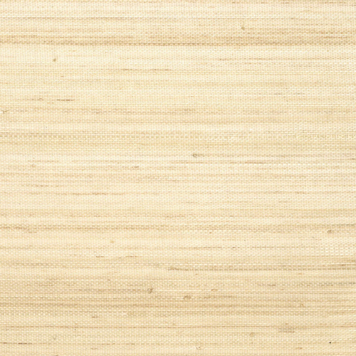 Maestria Pur Abaca - Saisir L'Emotion