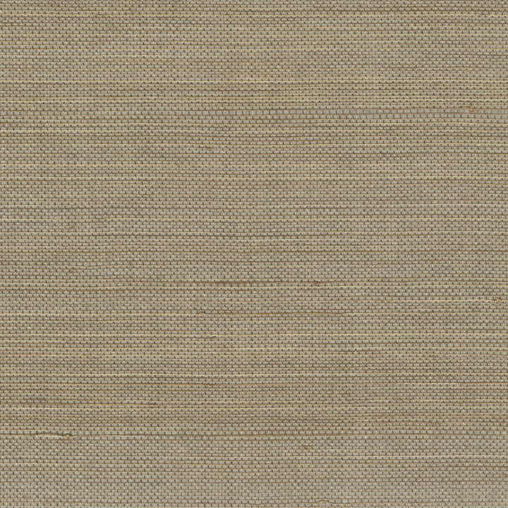 Maestria Pur Abaca - Apporter La Lumiere