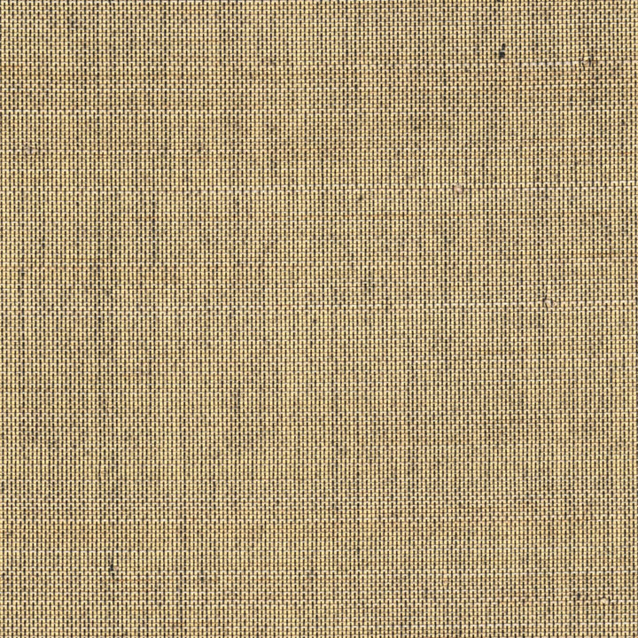 Maestria Pur Abaca - Une Dimension Celeste