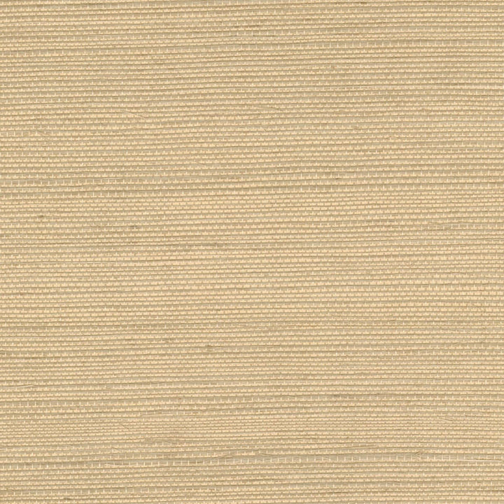 Sisal - A Son Apogee