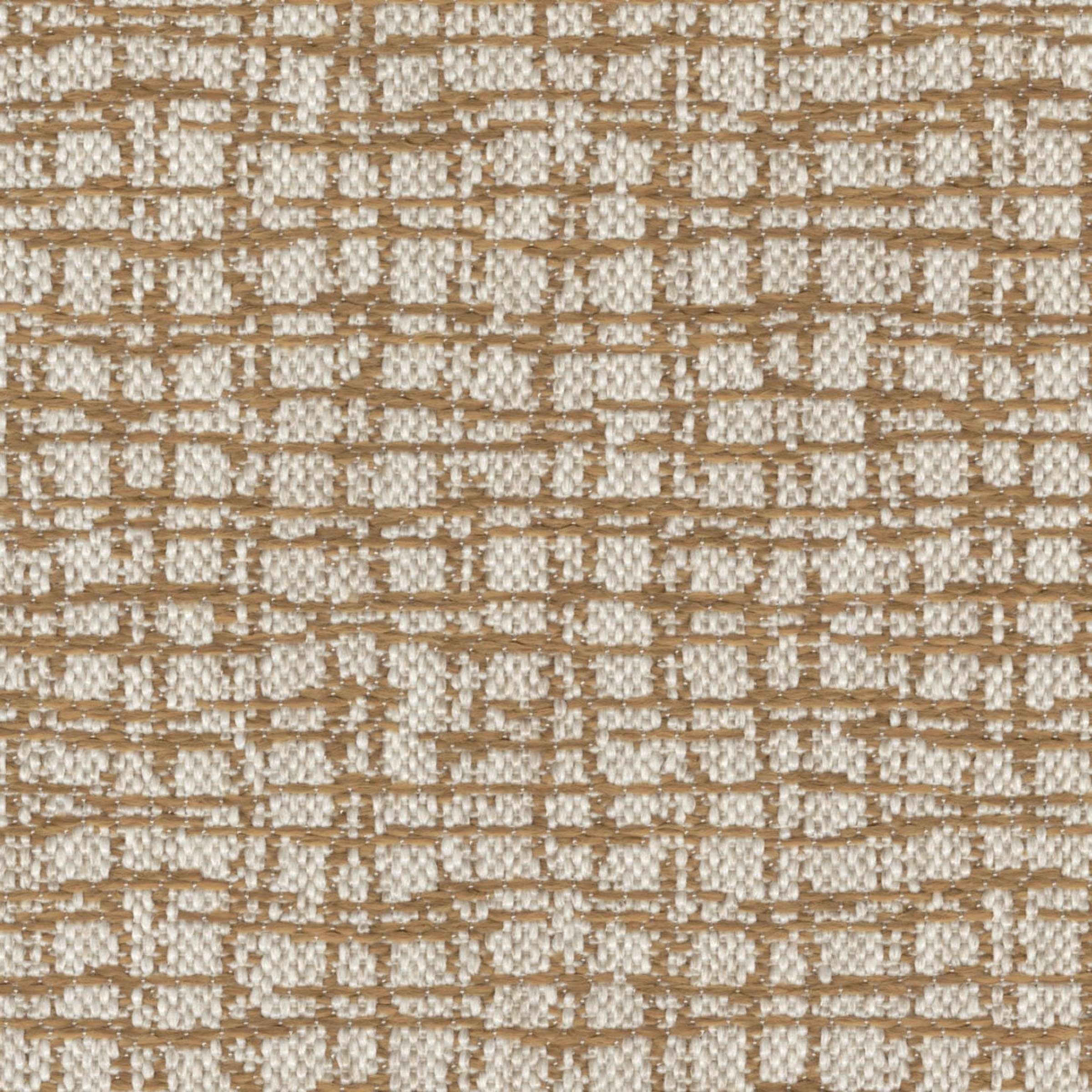 Pietro - Ramure Abstraite