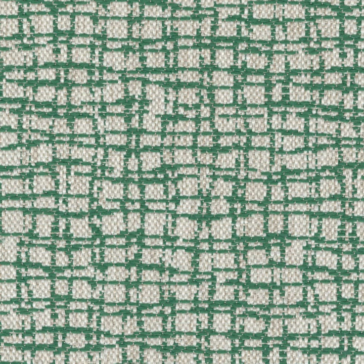 Pietro - Vegetal Inegal