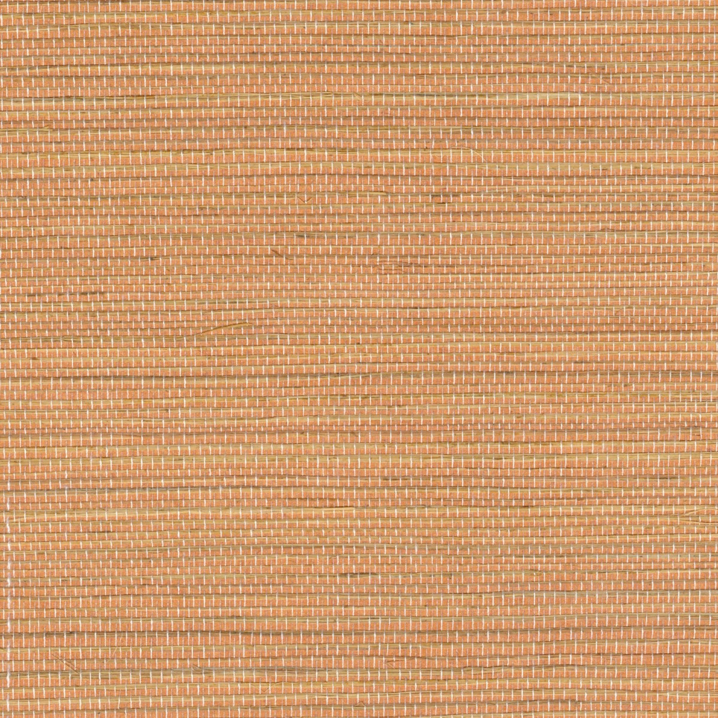 Tribus Favoris - Caramel Dore