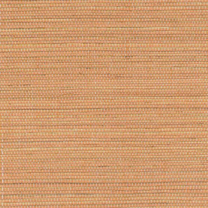 Tribus Favoris - Caramel Dore