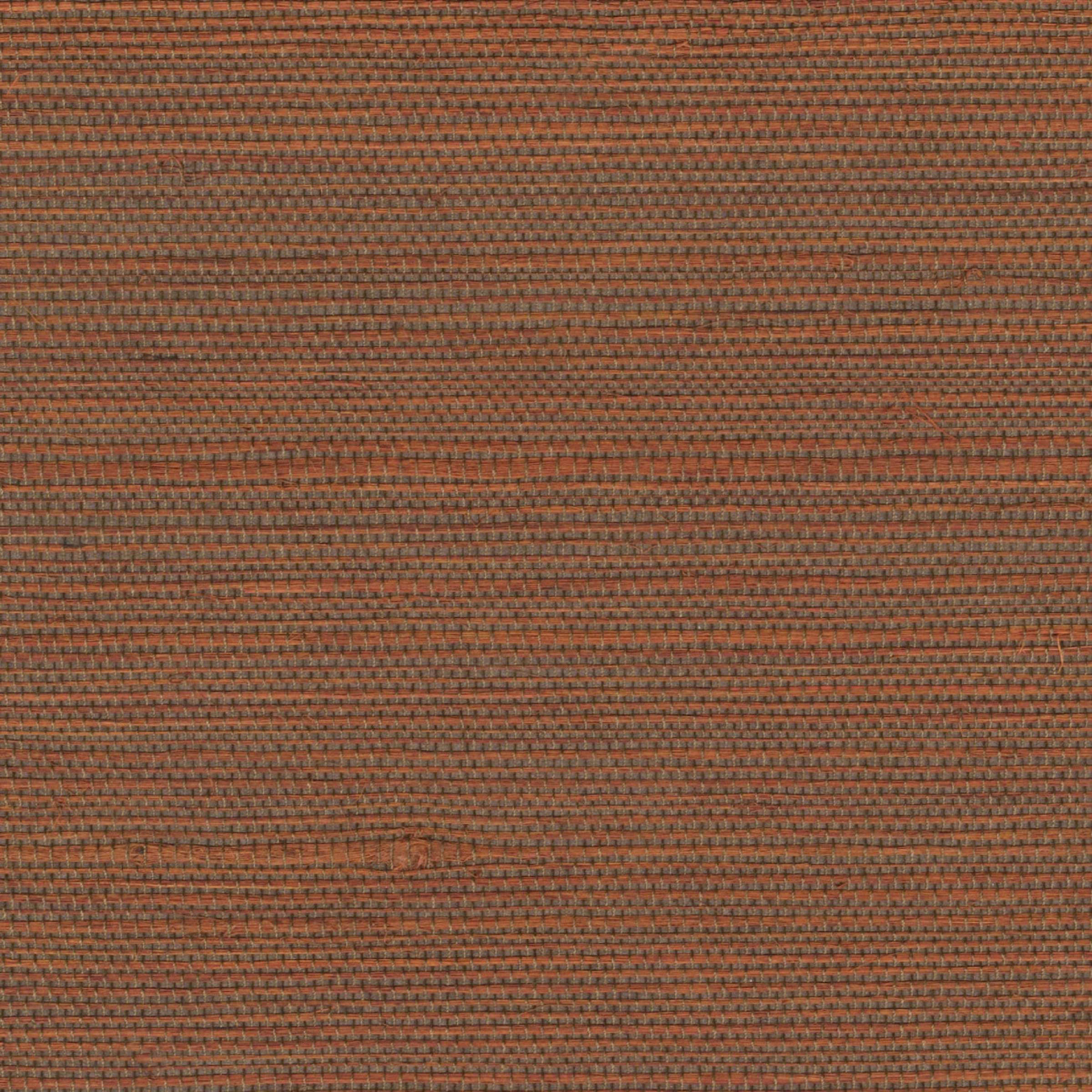 Tribus Favoris - Influences Culturelles