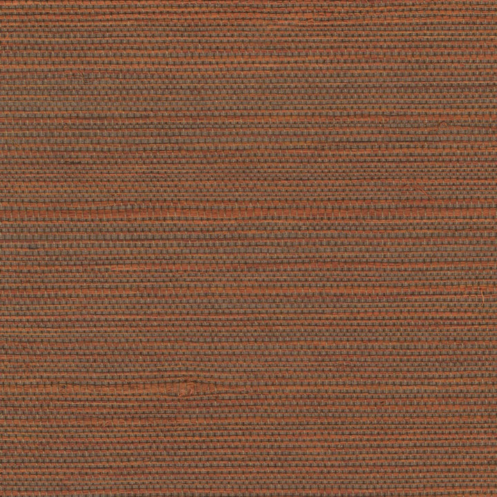 Tribus Favoris - Influences Culturelles