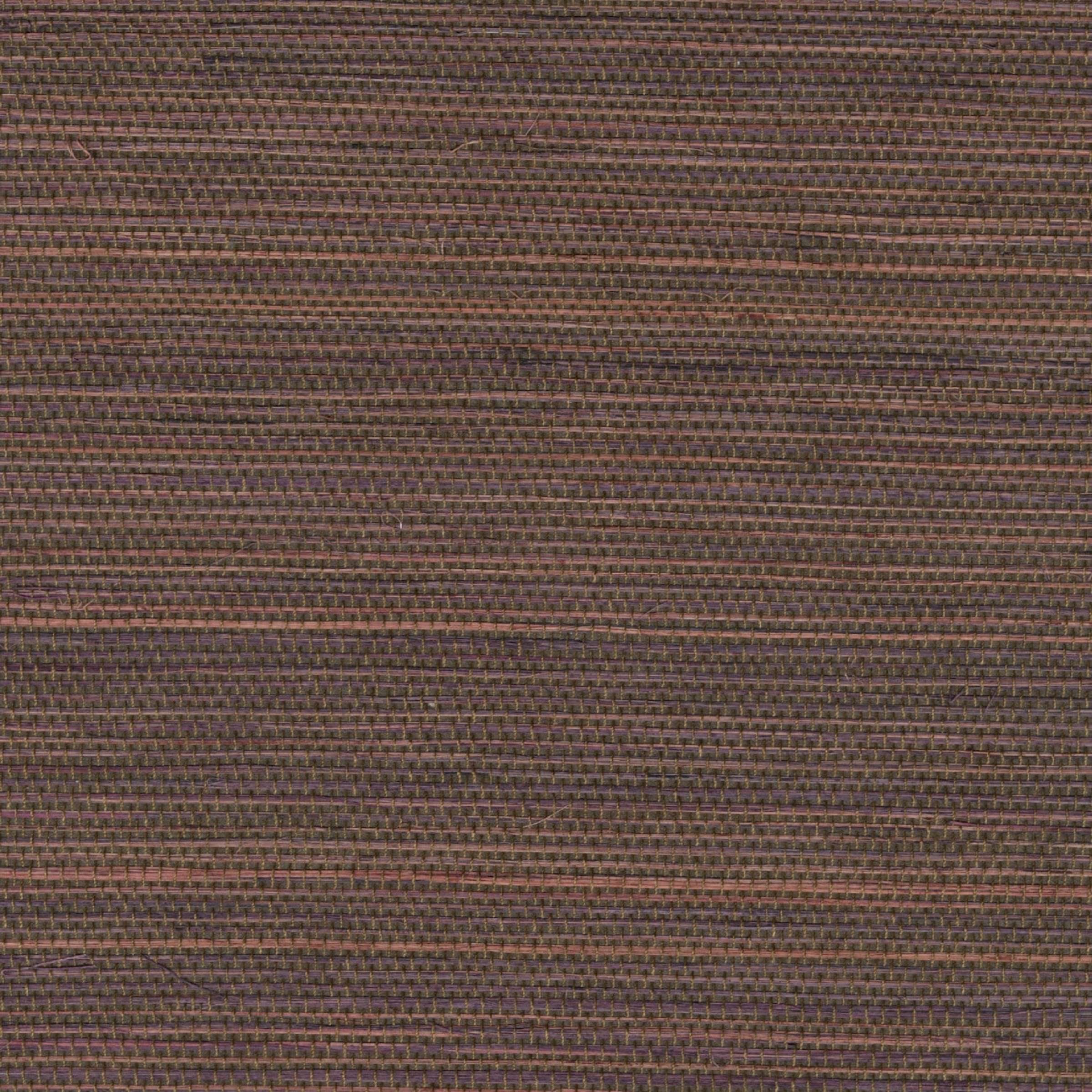 Tribus Favoris - Terres Ancestrales