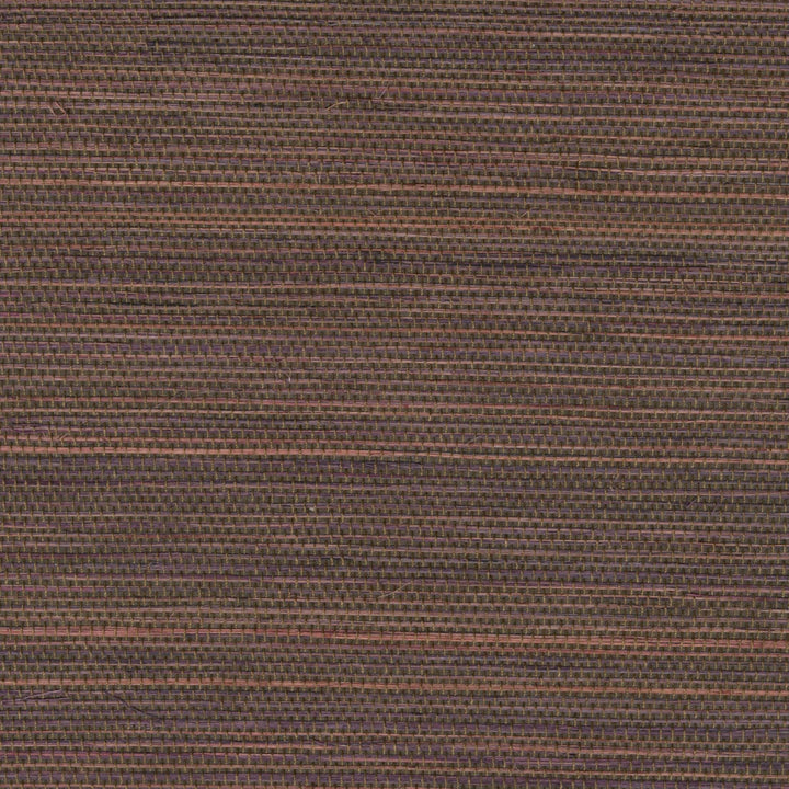 Tribus Favoris - Terres Ancestrales