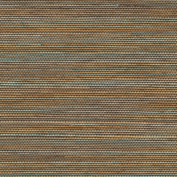 Tribus Favoris - Aventures Nomades