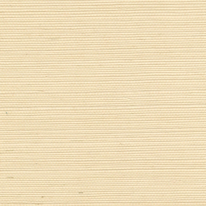 Sisal - La Richesse De La Matiere