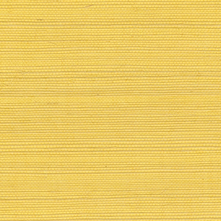 Sisal - Energie Solaire