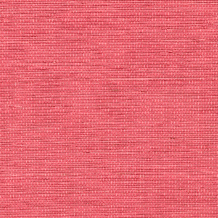 Tribus Sisal - Enchanter Les Regards