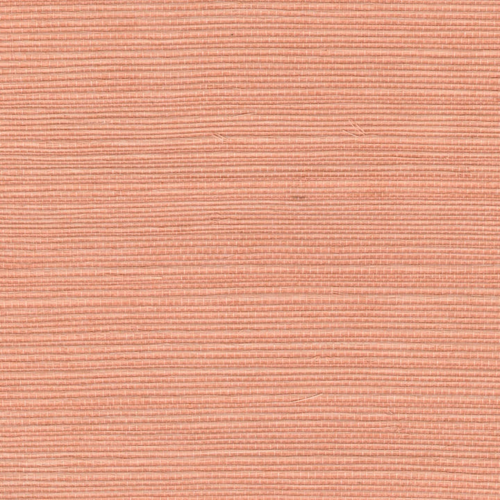 Tribus Sisal - Saveurs Sucrees