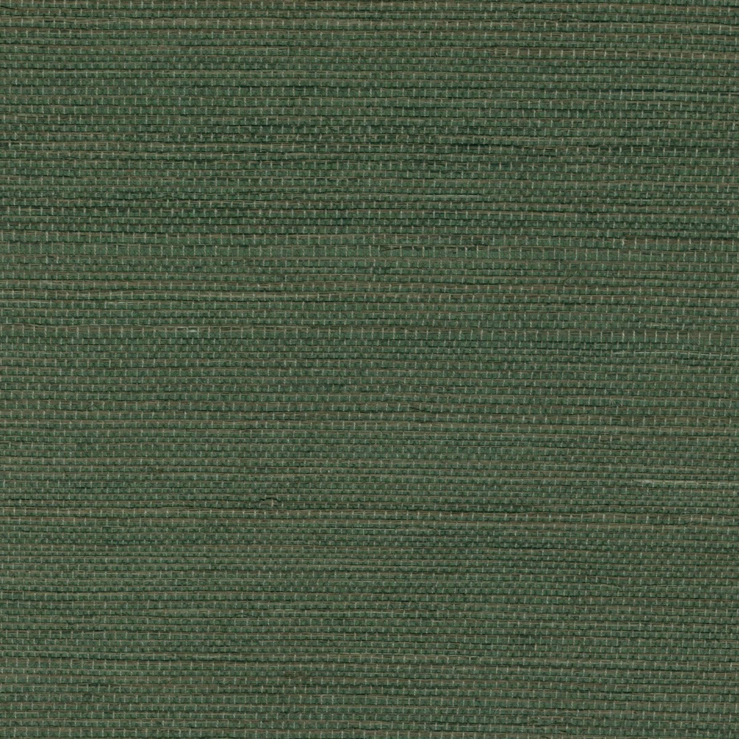 Tribus Sisal - Au Milieu De La Garrigue