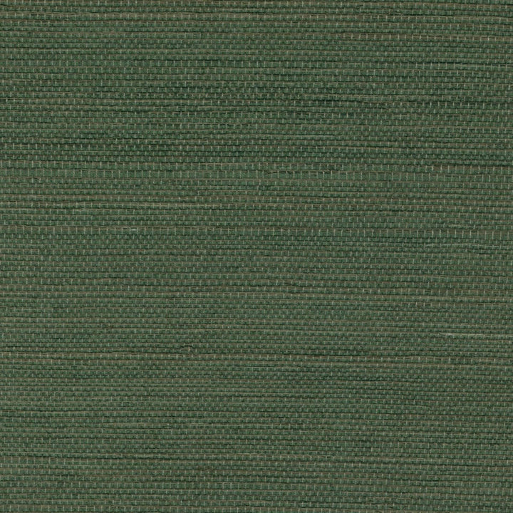 Tribus Sisal - Au Milieu De La Garrigue