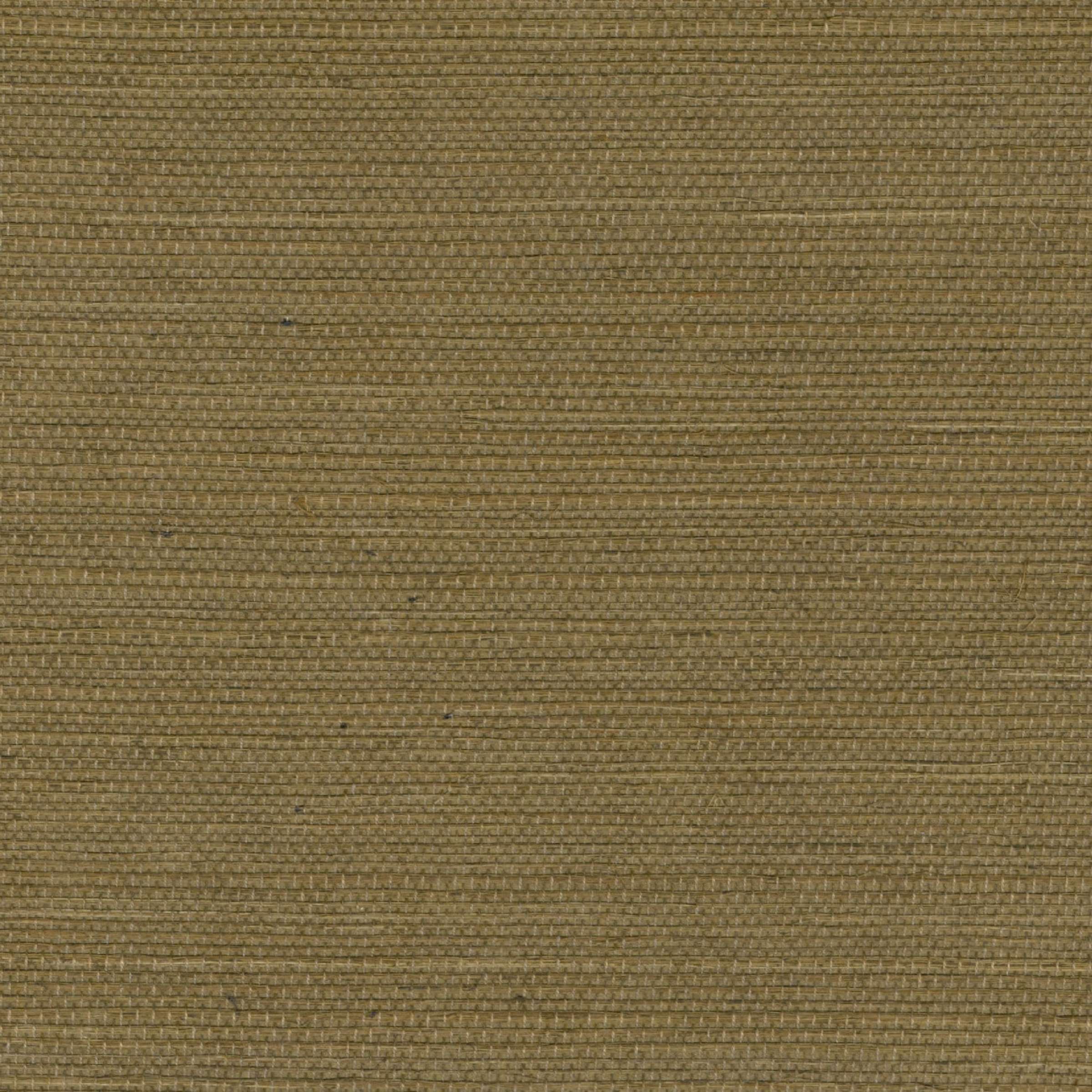 Tribus Sisal - Temoins De Voyages