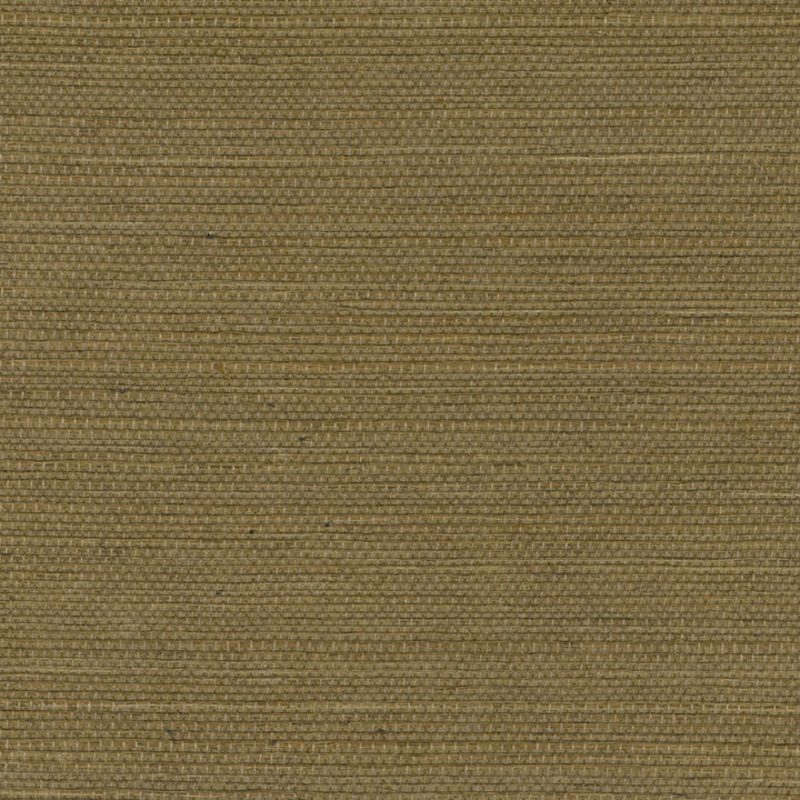 Tribus Sisal - Temoins De Voyages