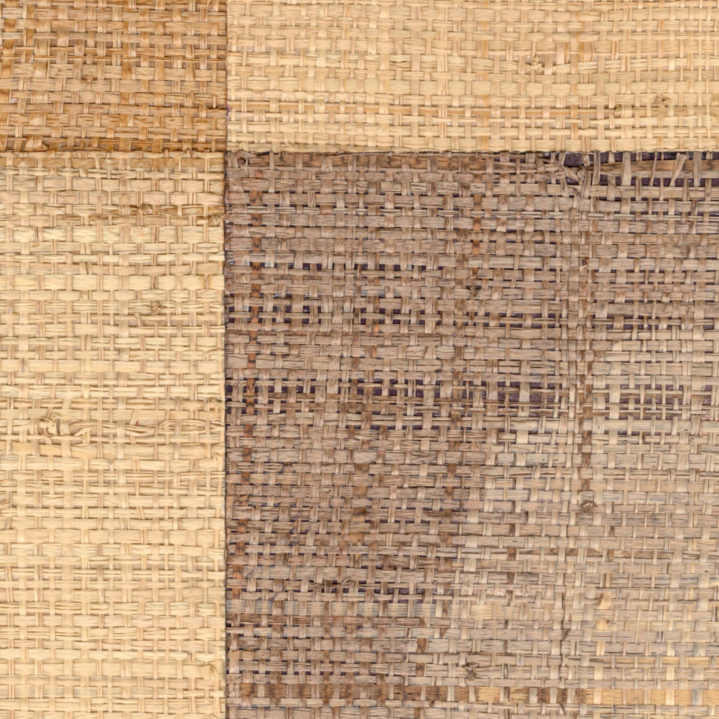 Tribus Comporta - De Decouvertes En Aventures