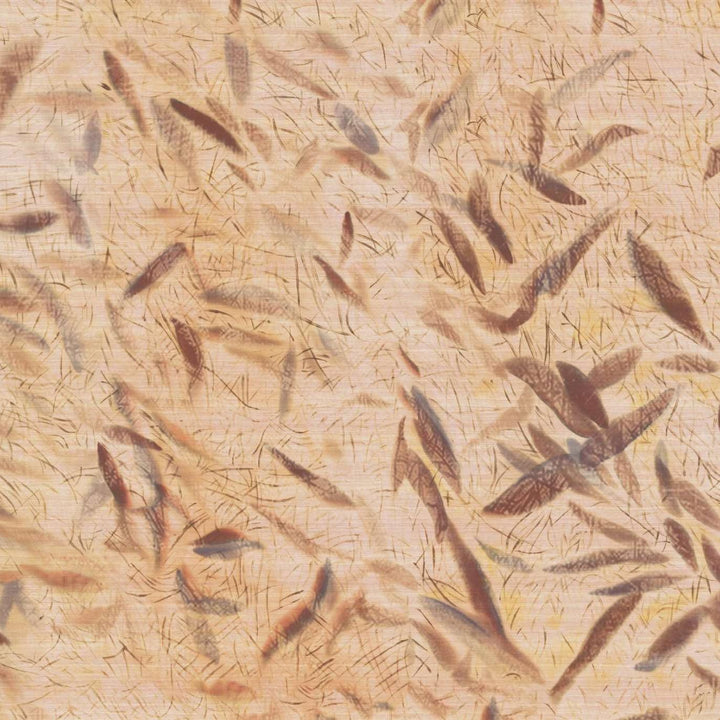 Ceres Ballet - D'Un Battement D'Ailes (Panoramique)