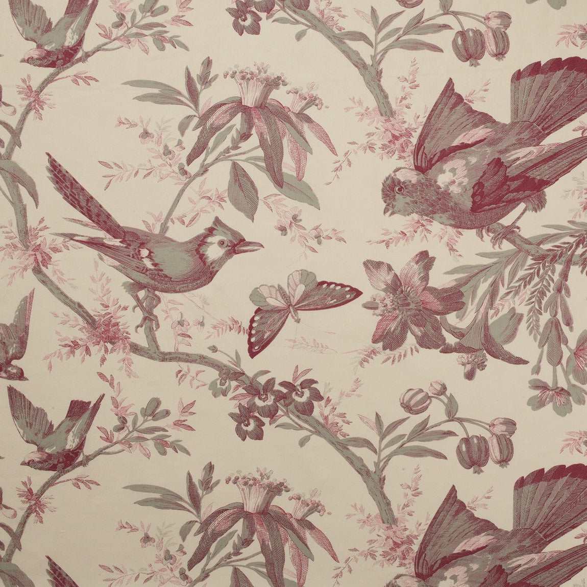 Paradisiers - Khaki / Rose