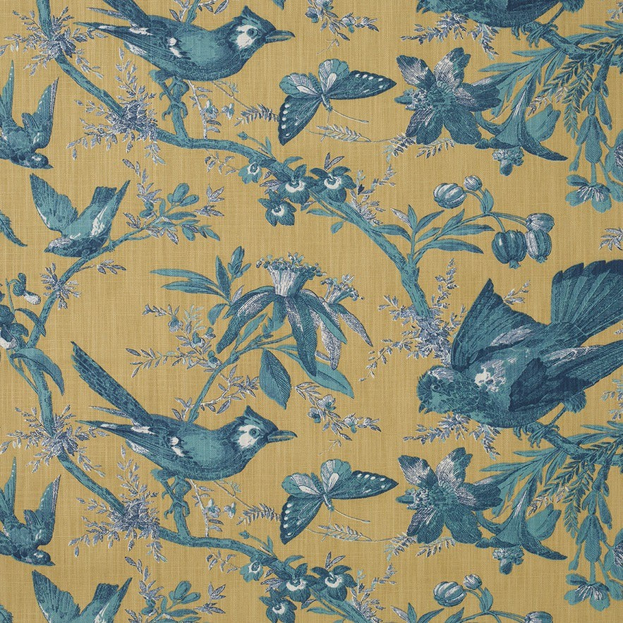 Paradisiers - Azure / Maize