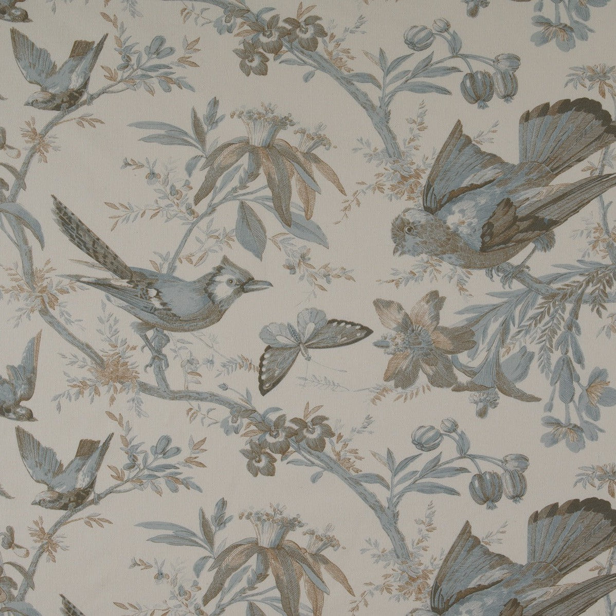 Paradisiers - Aquamarine