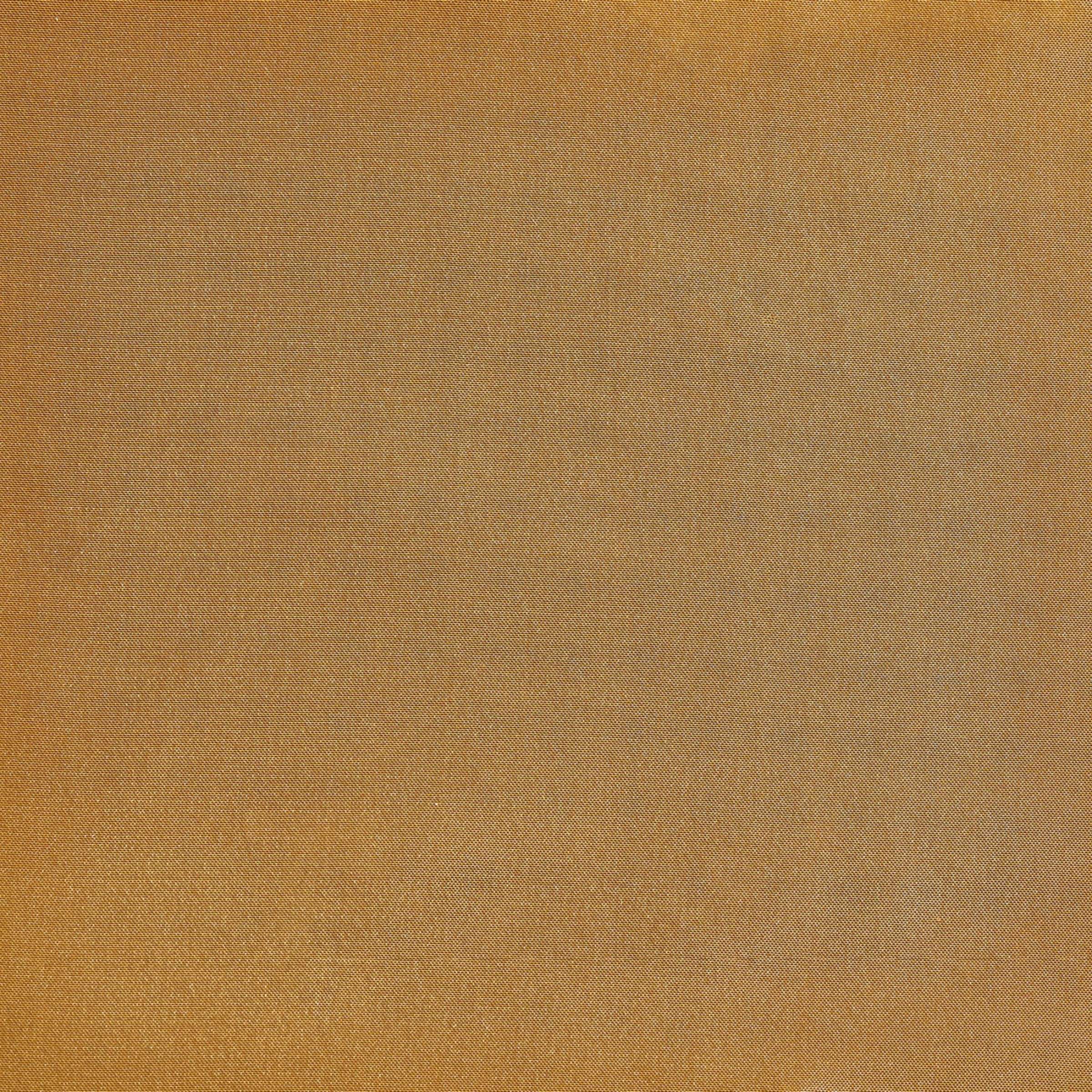 Donizetti - Matiere Precieuse