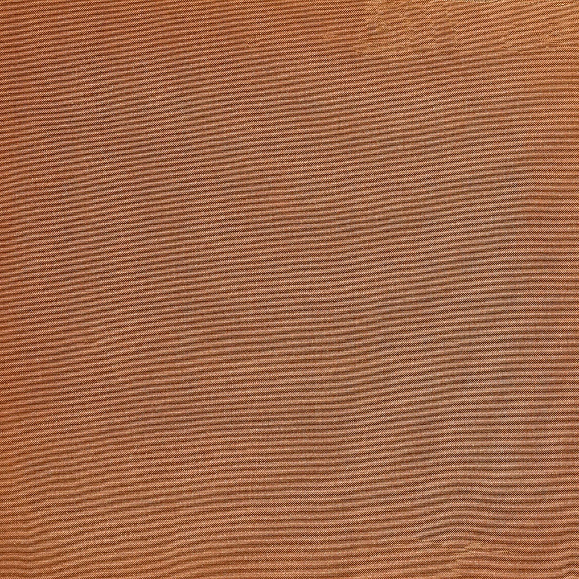 Donizetti - En Contrejour