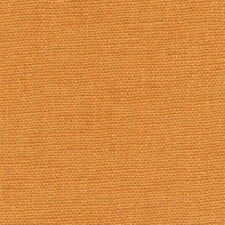 Easy - Champ De Couleurs