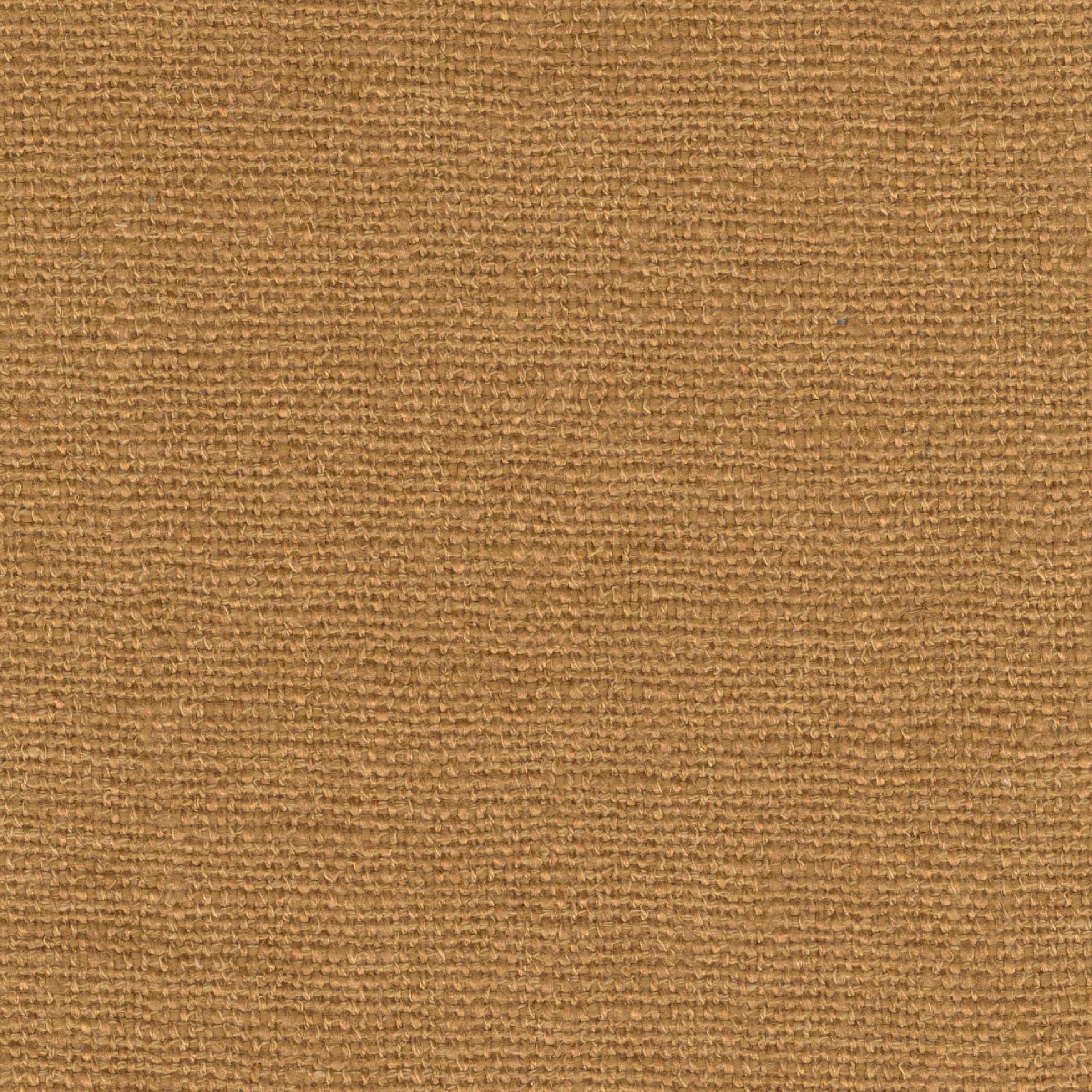 Easy - Derriere Un Arbre