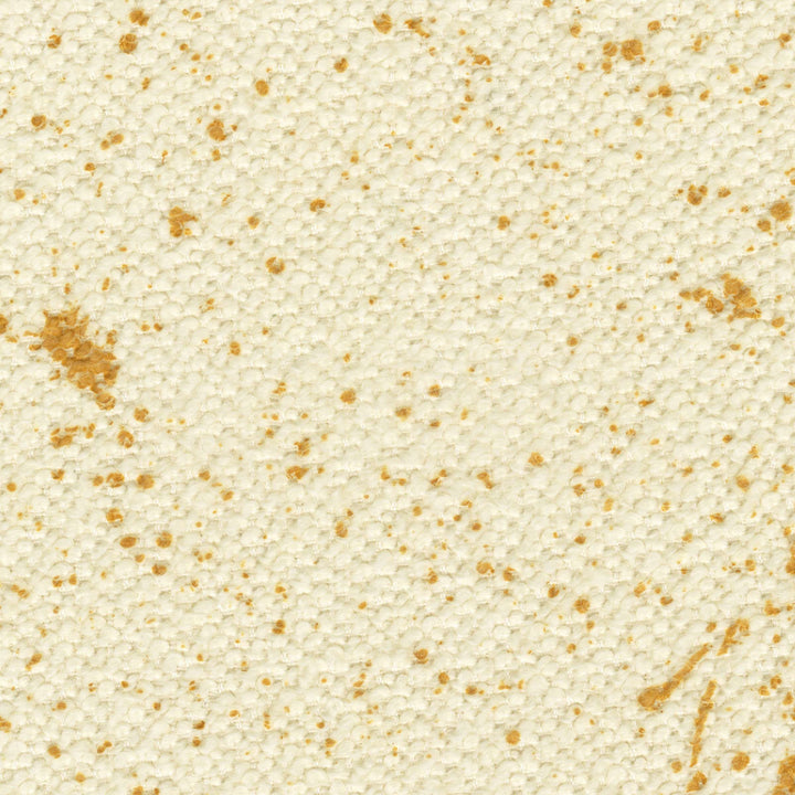 Jacky - Eclair Flash