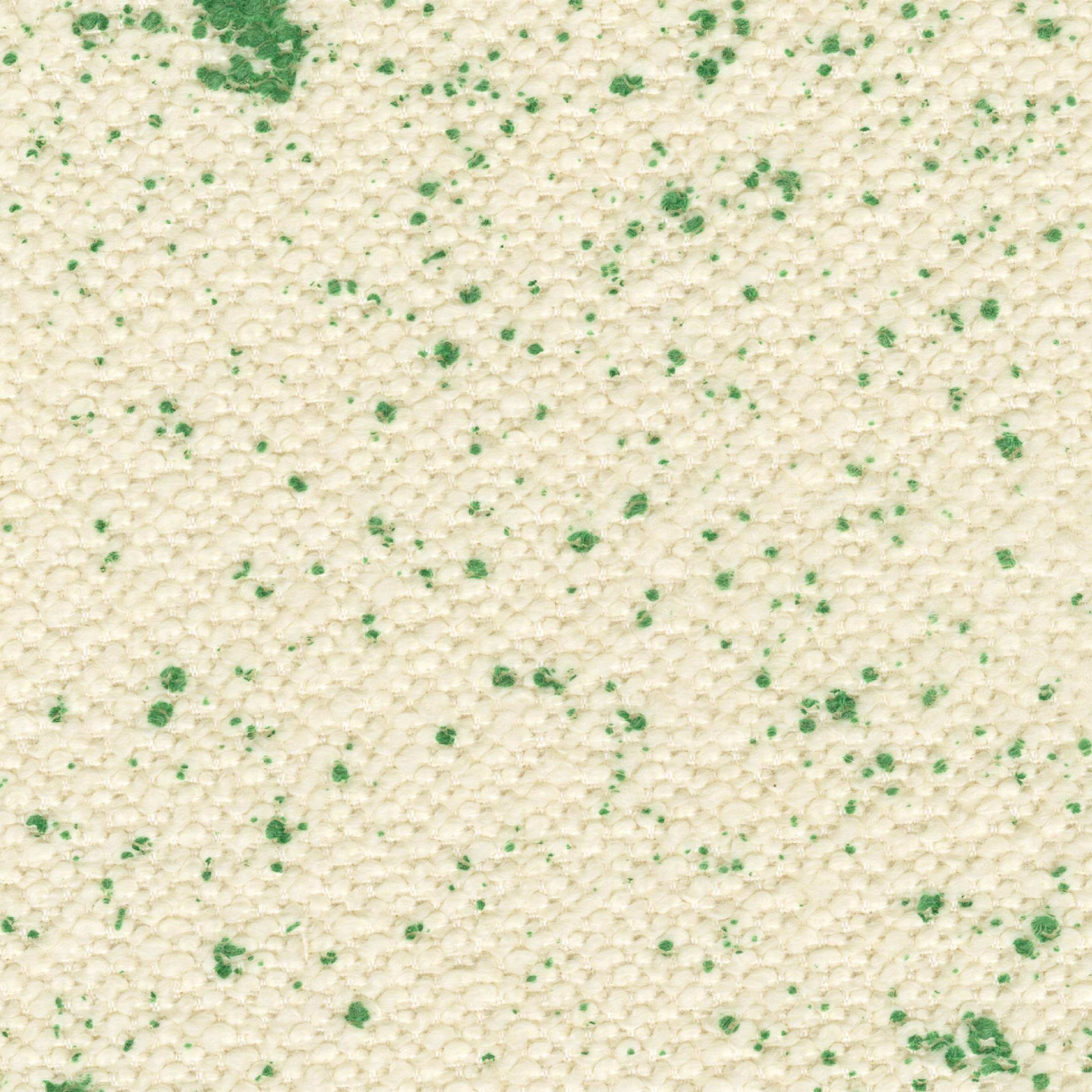 Jacky - Jungle Folle